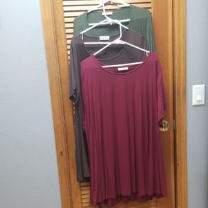Set of 3 Women's Plus Tunic Tops